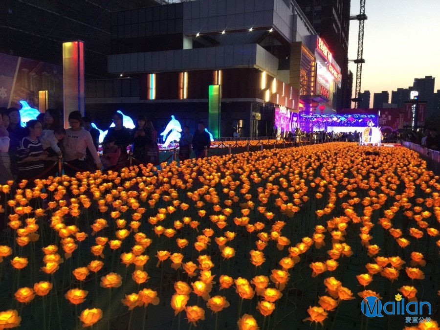 麥藍|公關活動|影視廣告|IP運營|設計創意